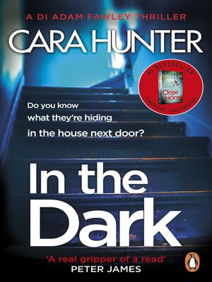 In the Dark - ebook
